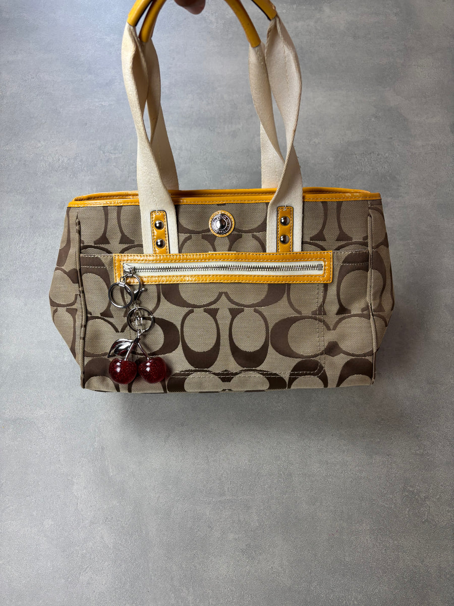 Coach Signature Tote Bag