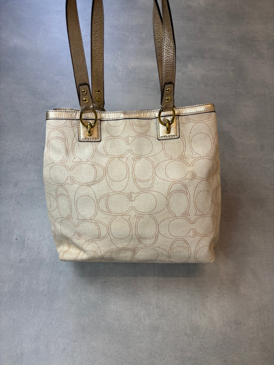 Coach Signature Bag