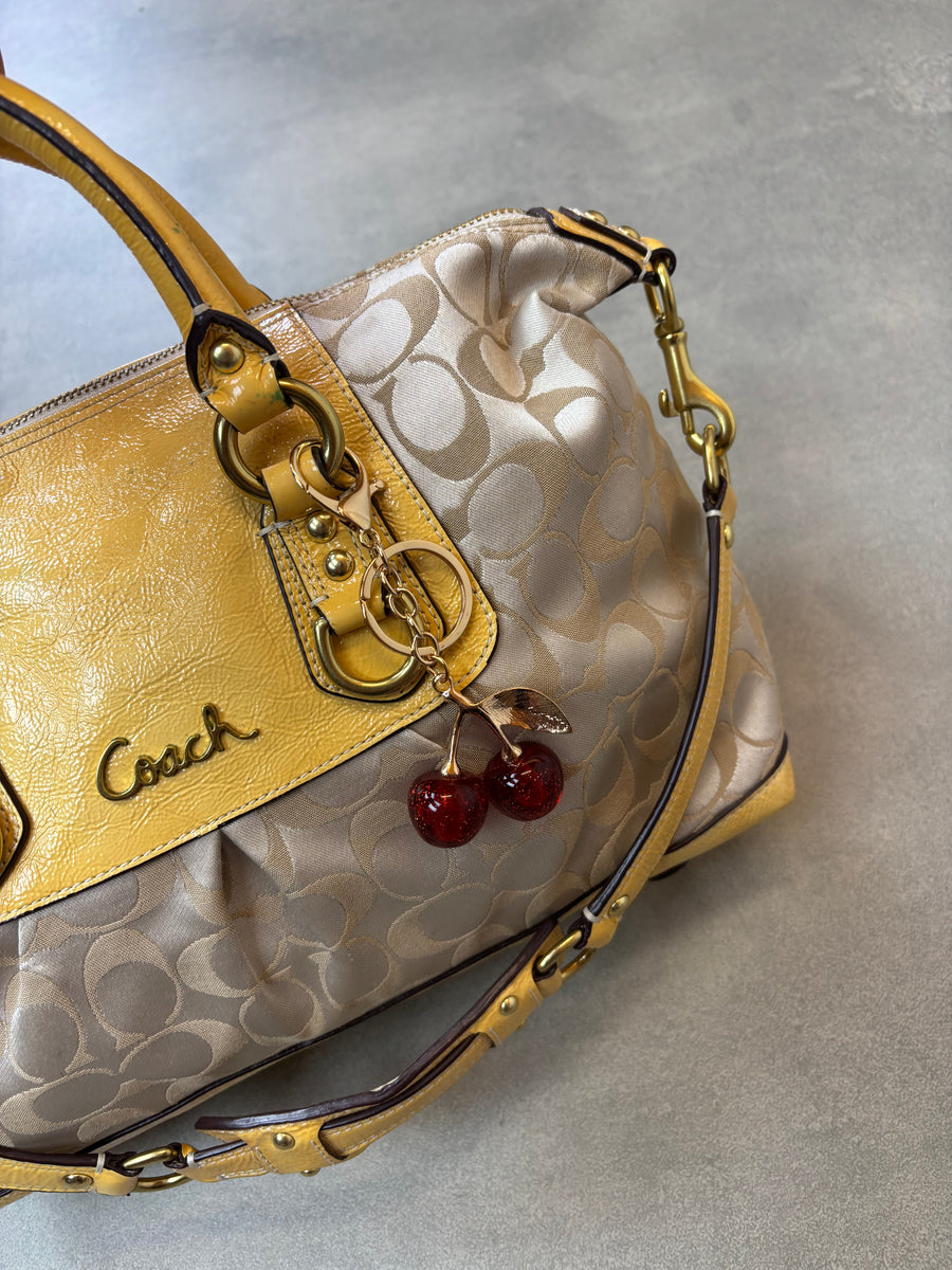 Coach Signature 2-Way Bag