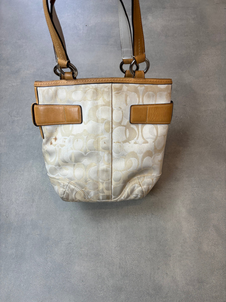 Coach Signature Bag