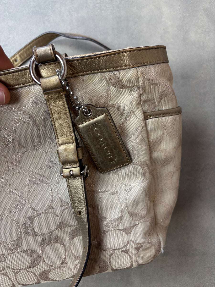Coach Signature Shoulder Bag